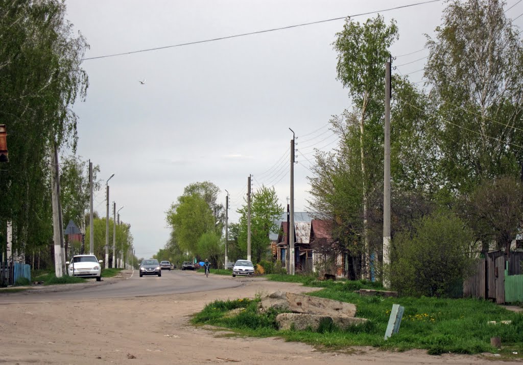 in Vyezdnoye