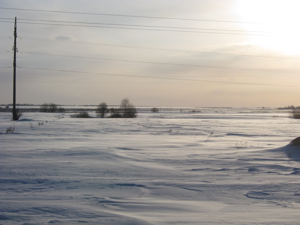 snowy field