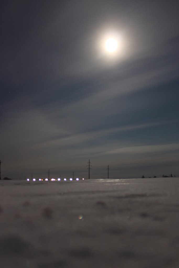 The Moon