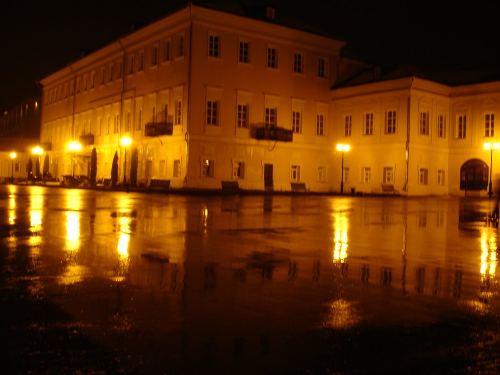 VYKSA 2008