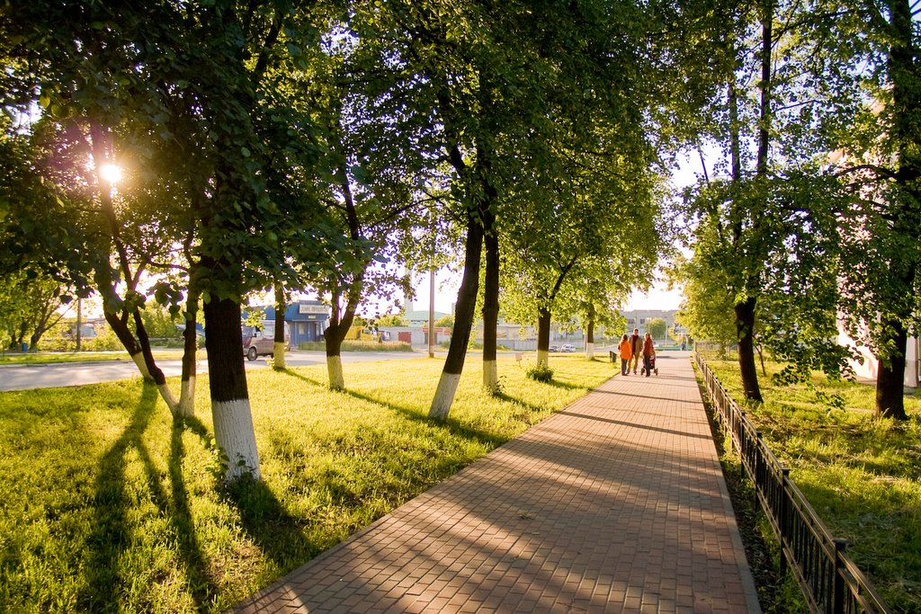 Выкса. аллея