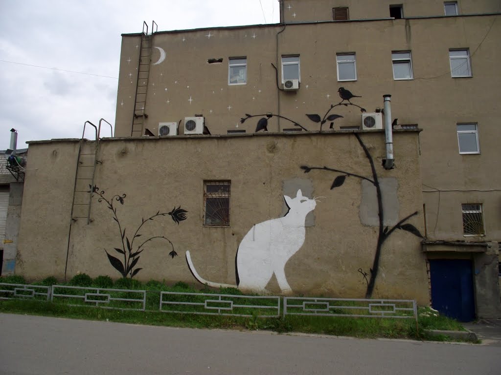 Белый кот,чёрная птица под луной