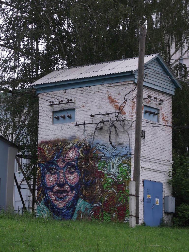 Электрическая будка