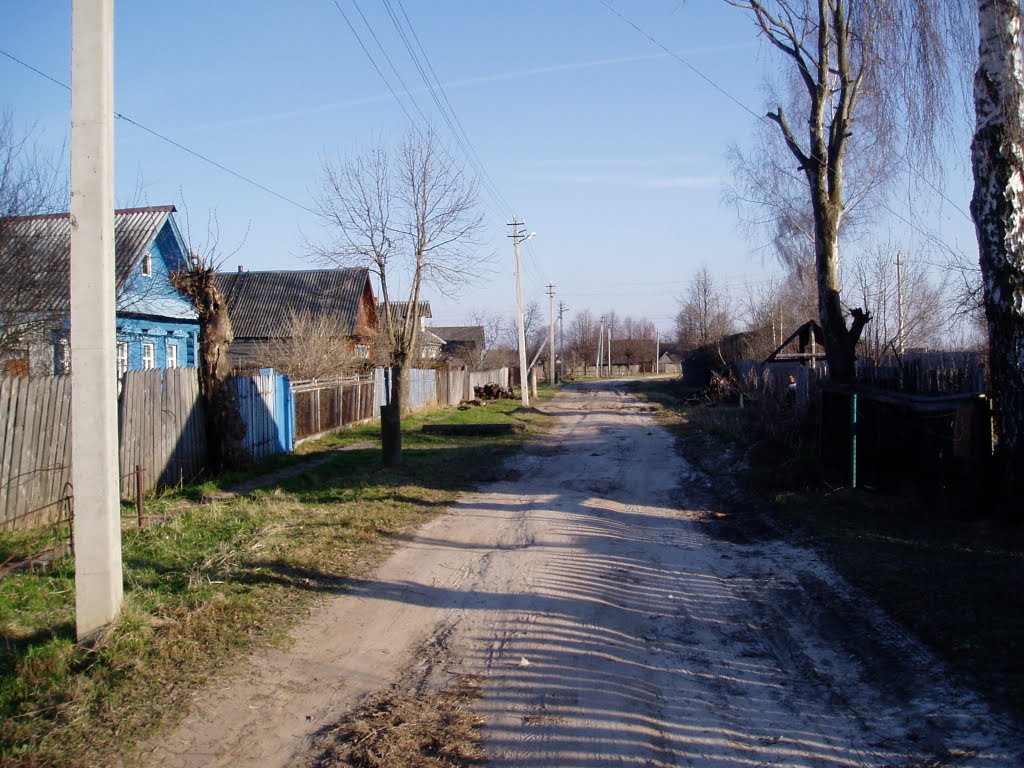 пос. Гидроторф, ул. Горького