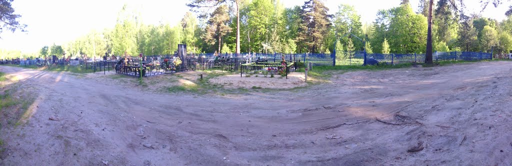 кладбище (16.05.2014)