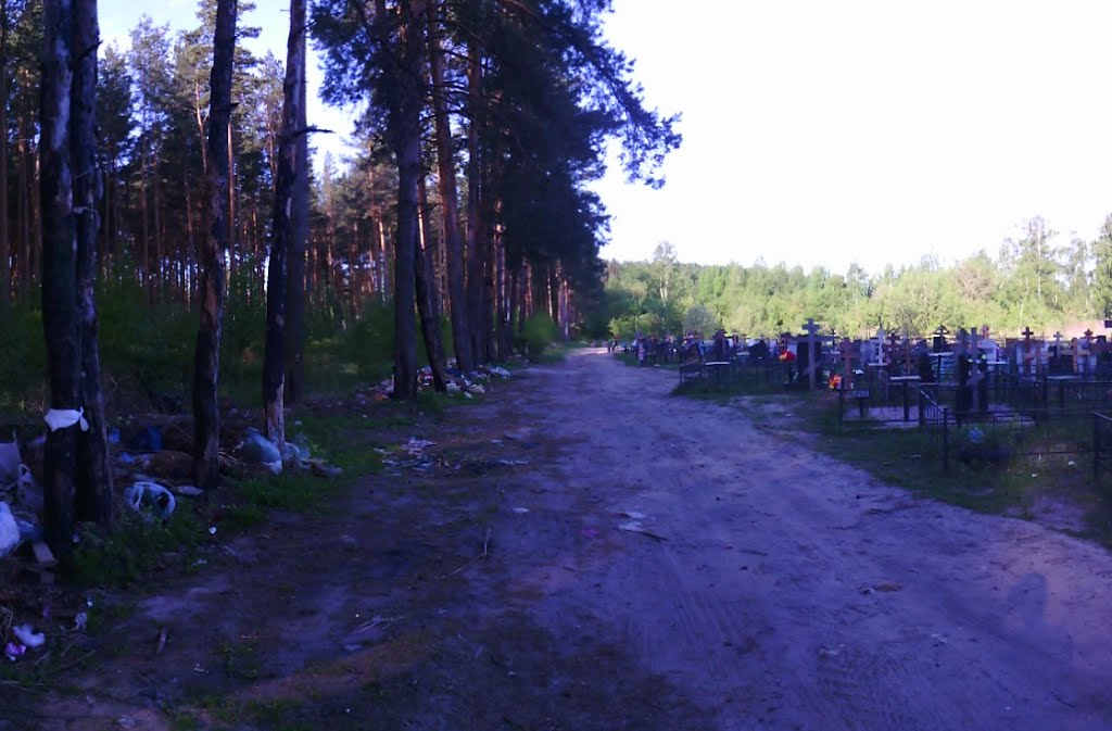 грунтовая дорога (16.05.2014)
