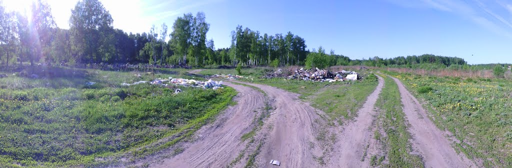 грунтовая дорога (16.05.2014)