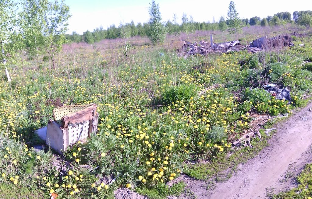 грунтовая дорога (16.05.2014)