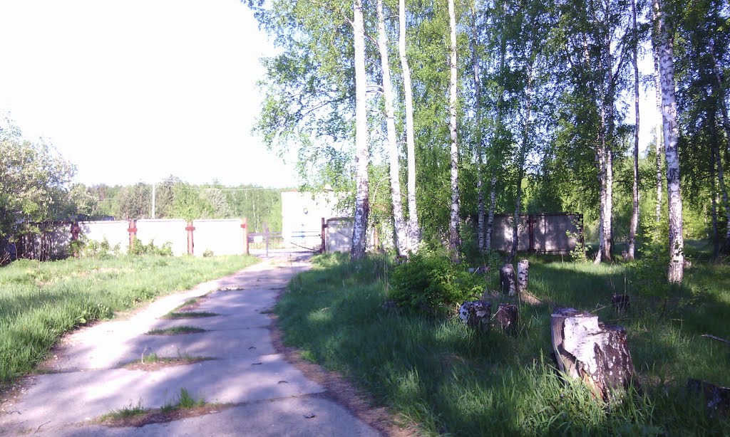 бетонная дорога (16.05.2014)