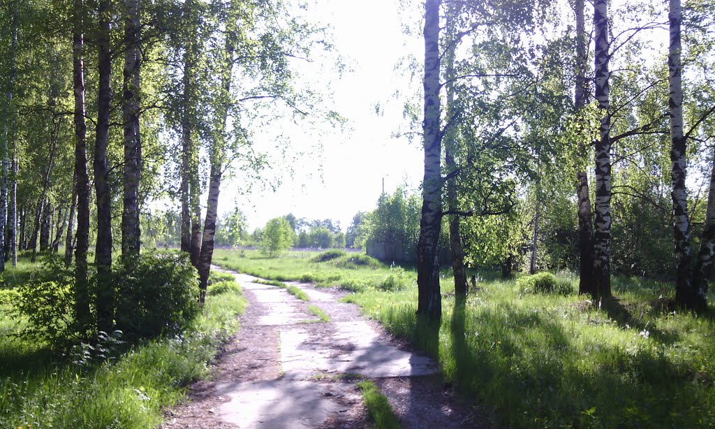 бетонная дорога (16.05.2014)