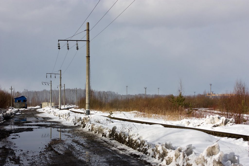 Доскино, Грузовой двор (2009.03.22)
