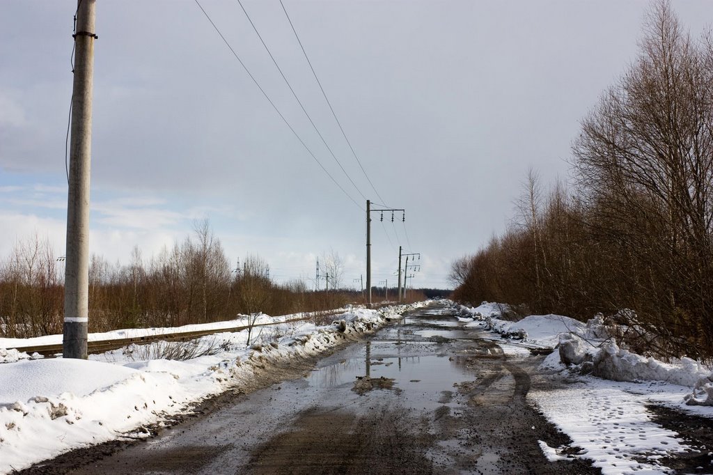 Дорога к Грузовому двору Доскино (2009.03.22)