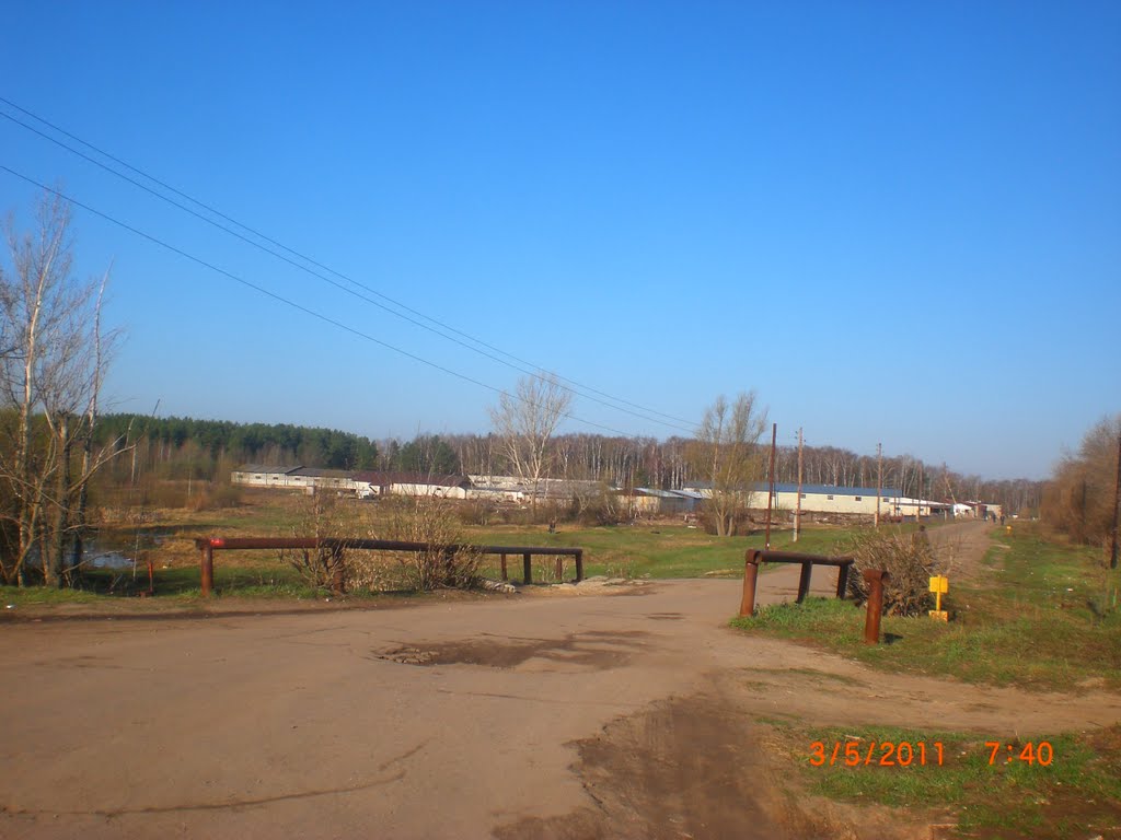 Мост (03.05.2011)