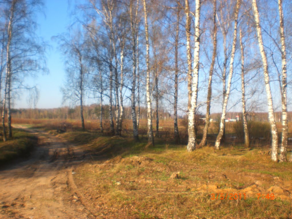 АЗС в дали  (03.05.2011)