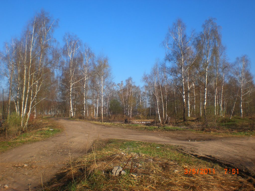 дорога  (03.05.2011)