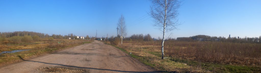дорога в доль поле  (03.05.2011)