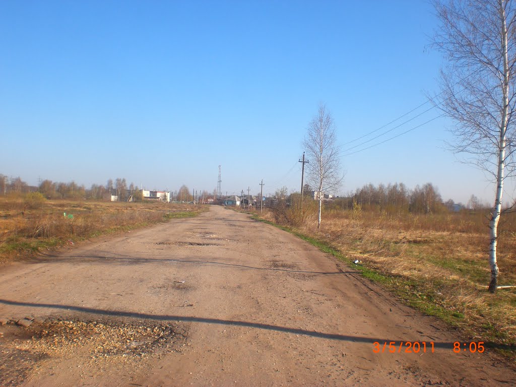 дорога в доль поле  (03.05.2011)