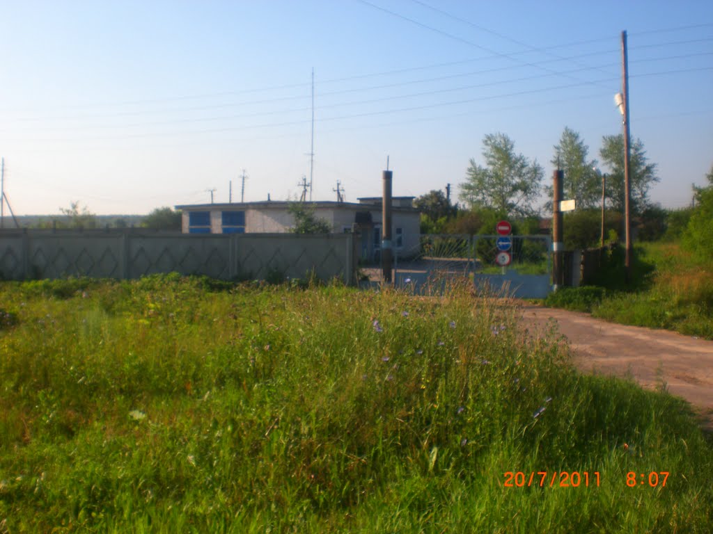 ворота (20.07.2011)