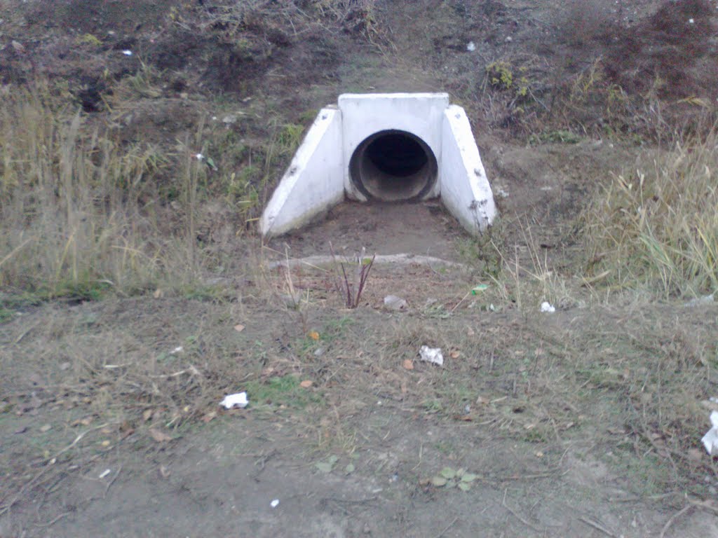 труба (29.10.2011)