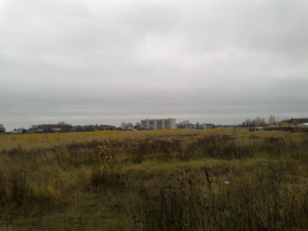 жилые дома в дали (29.10.2011)