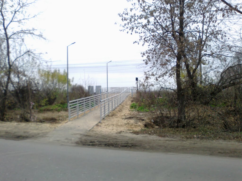 пешеходная дорога (29.10.2011)