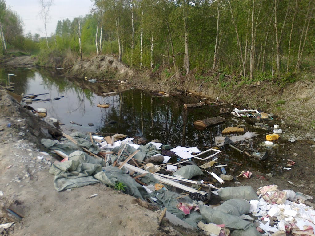 свалка и болото (07.05.2012)