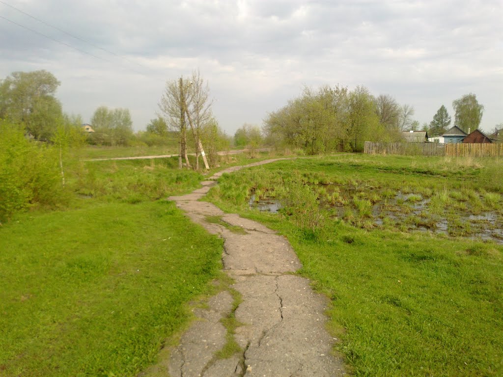 пешеходная дорога (07.05.2012)