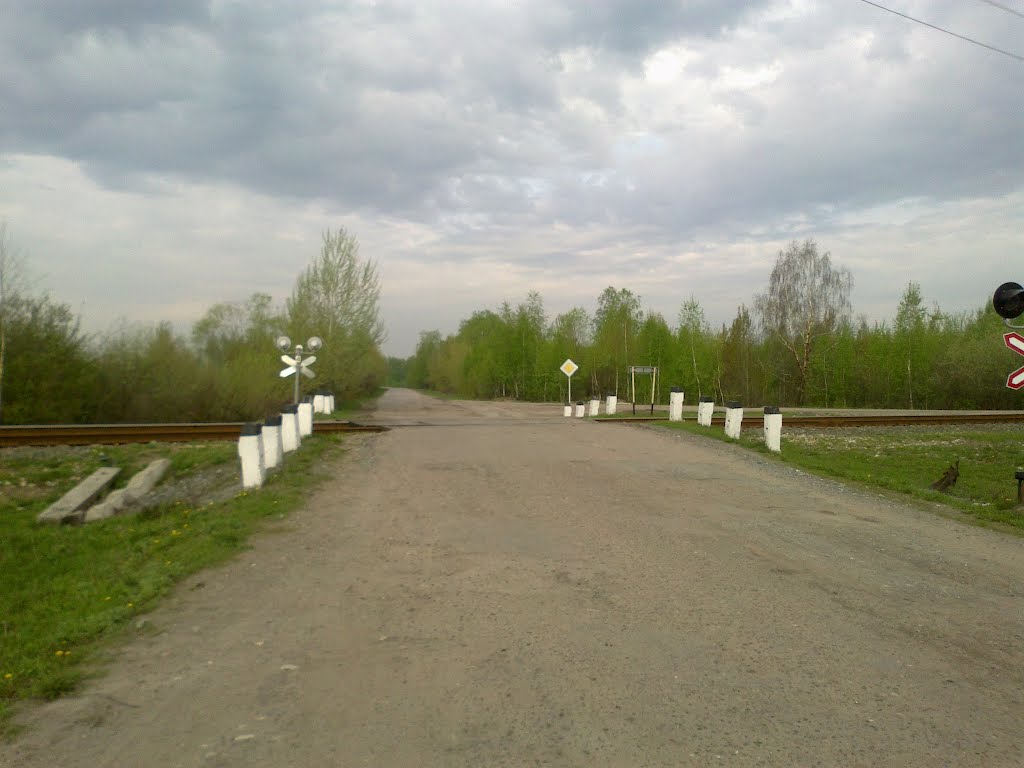 жд переезд (07.05.2012)