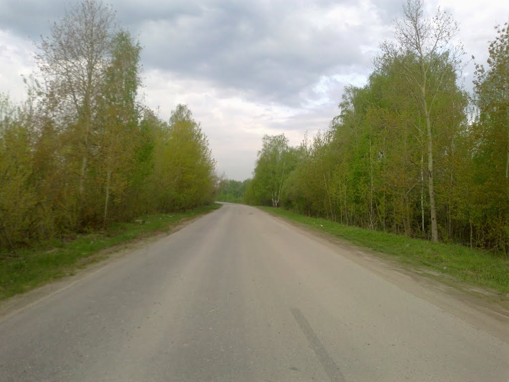 дорога (07.05.2012)