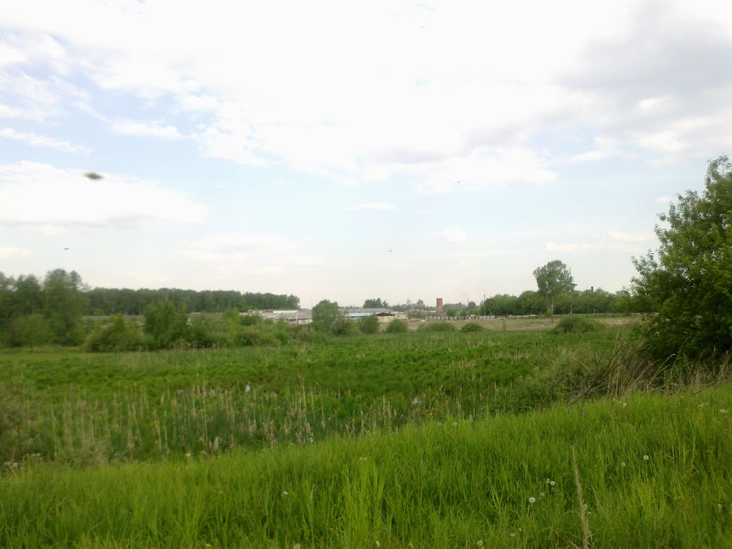 болото (22.05.2012)