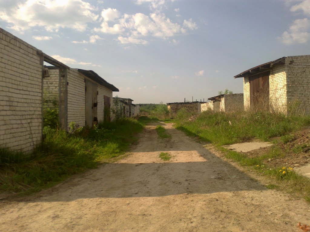 гаражи (22.05.2012)