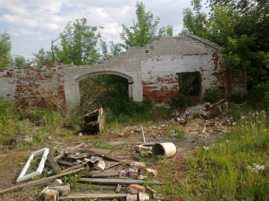 руины (22.05.2012)