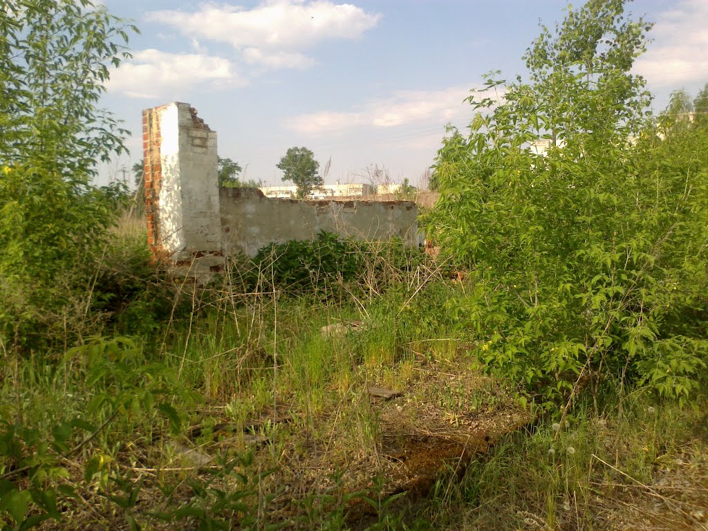 руины (22.05.2012)