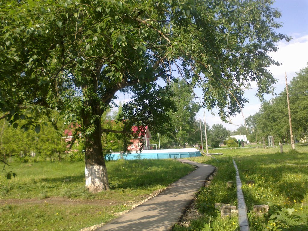 пешеходная дорога (22.05.2012)