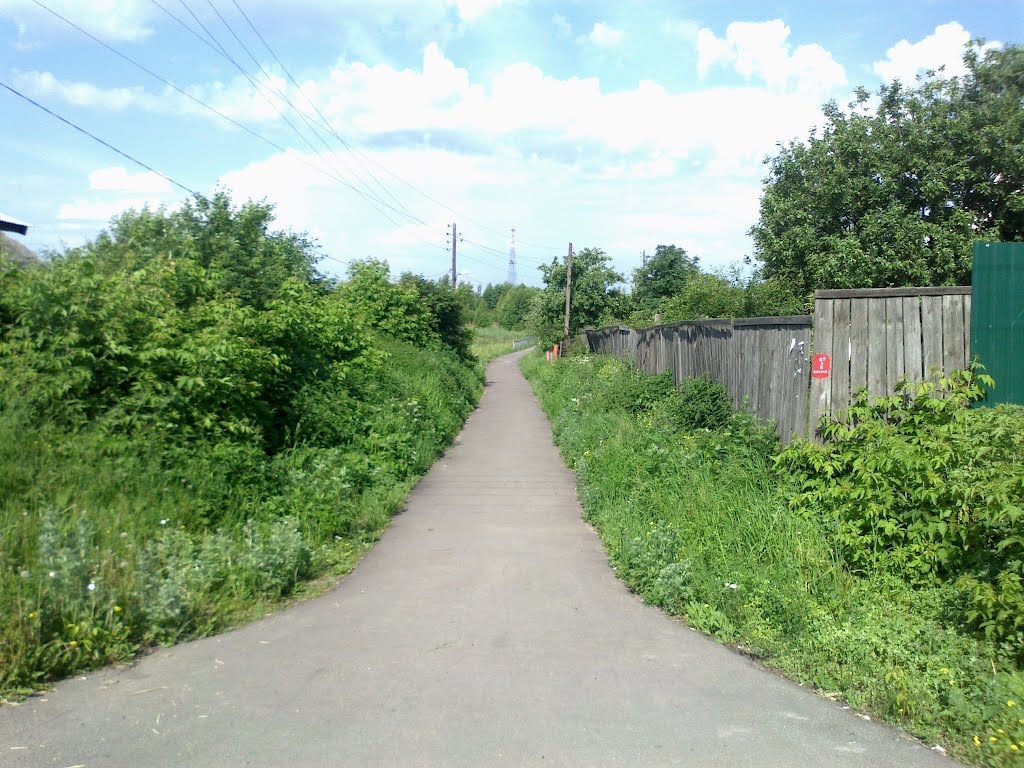 пешеходная дорога (08.06.2012)