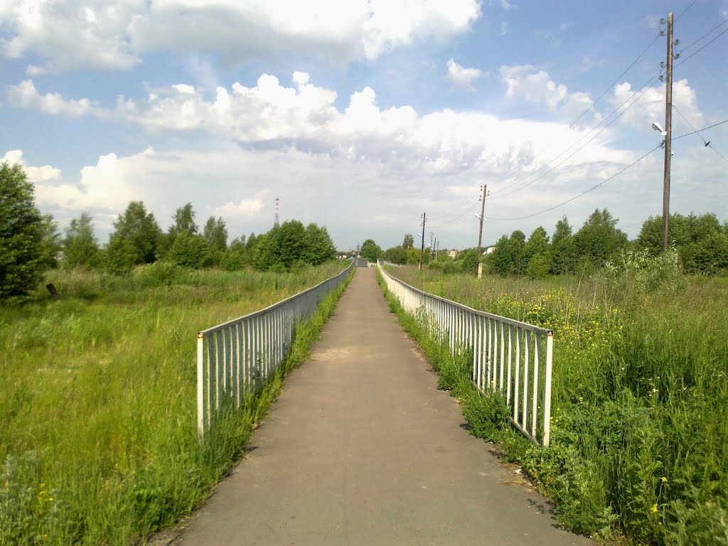 пешеходная дорога (08.06.2012)