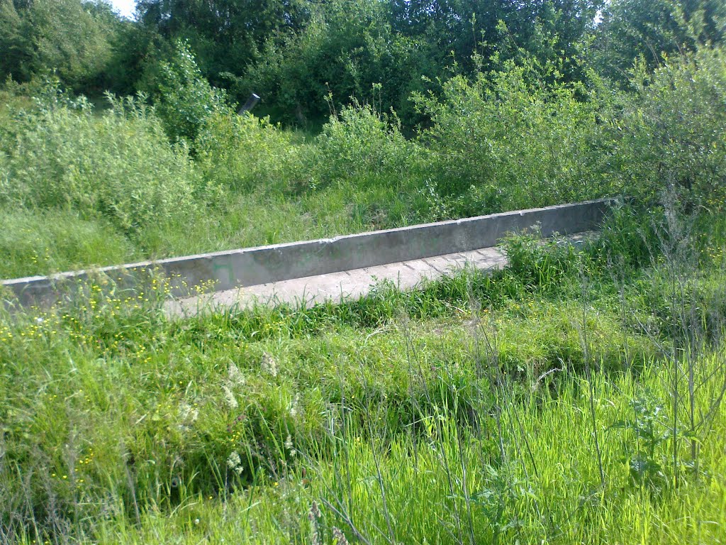 жб балка (08.06.2012)