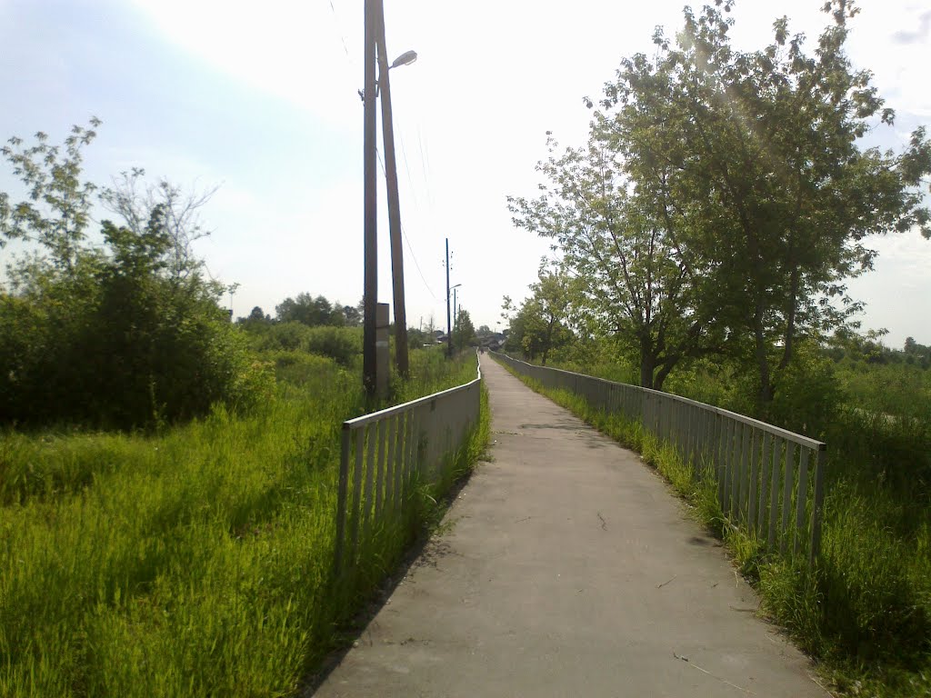 пешеходная дорога (08.06.2012)