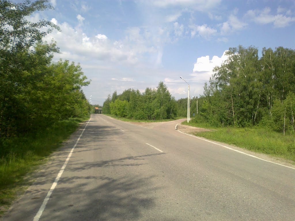 дорога (08.06.2012)