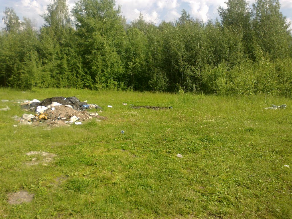 свалка (08.06.2012)