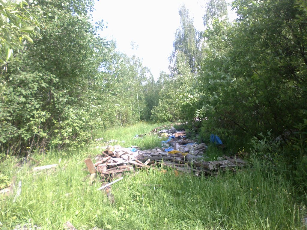 свалка (08.06.2012)