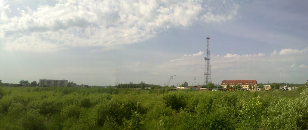 Гавриловка (08.06.2012)