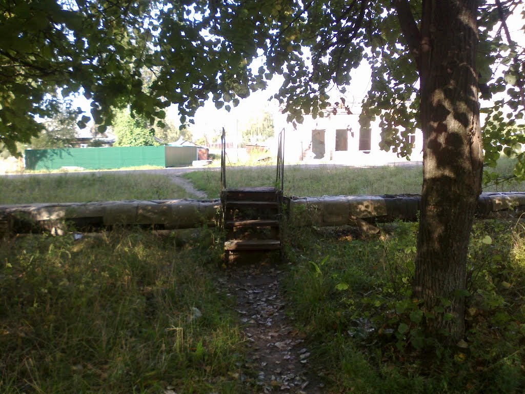 лестница (24.08.2012)