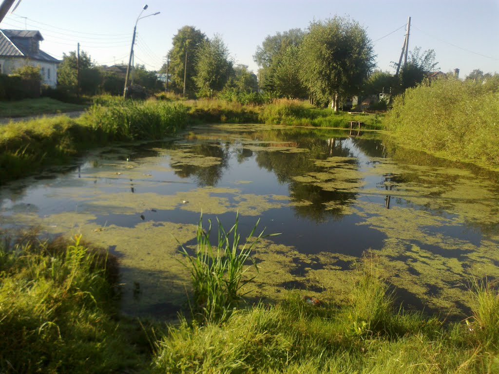 пруд (17.08.2013)