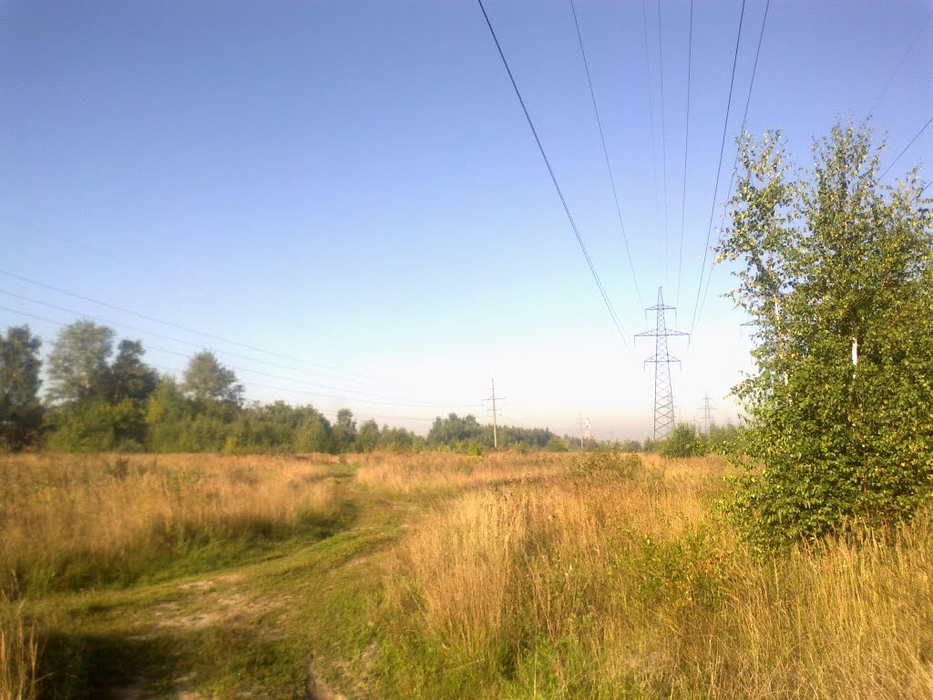 поле (17.08.2013)