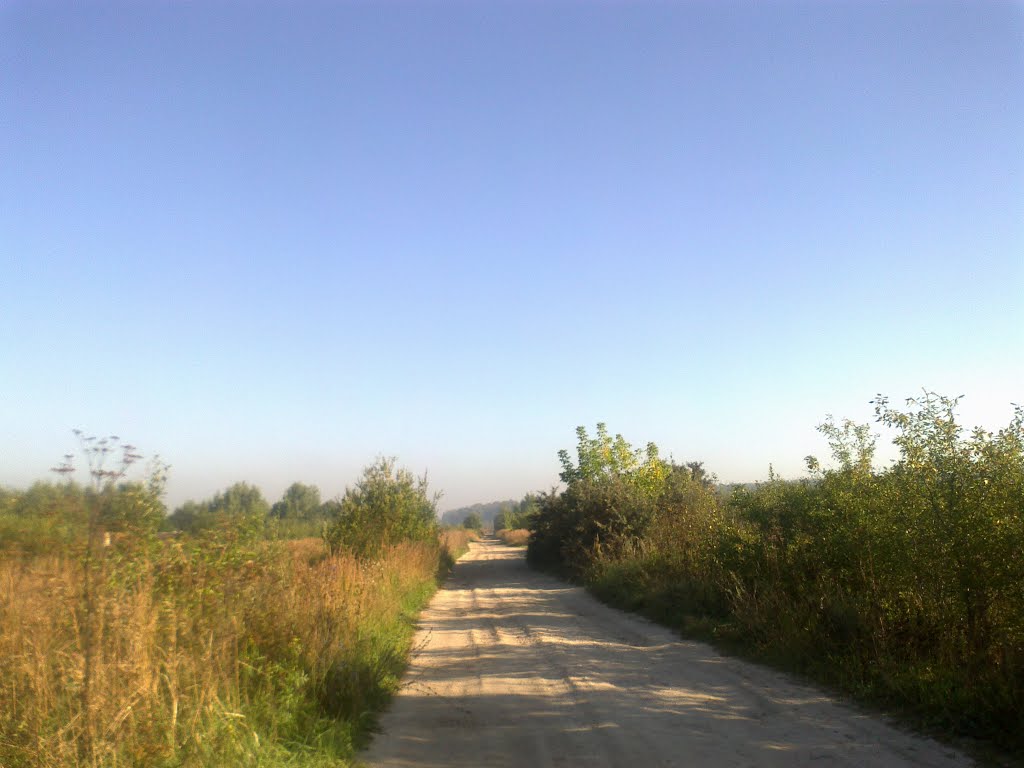грунтовая дорога (17.08.2013)