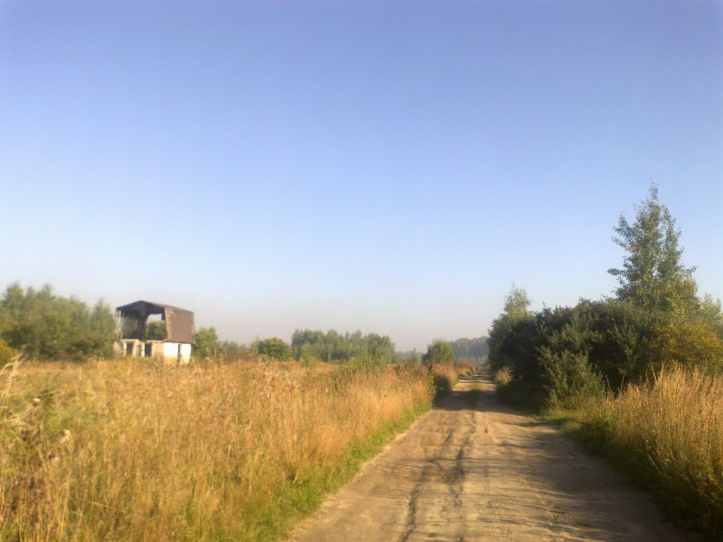 грунтовая дорога (17.08.2013)