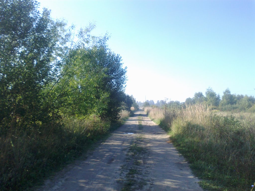грунтовая дорога (17.08.2013)