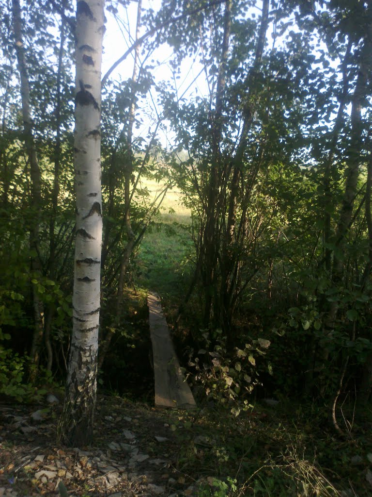 самодельный мостик (17.08.2013)