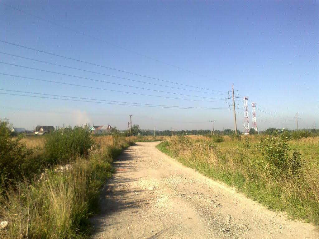 грунтовая дорога (17.08.2013)